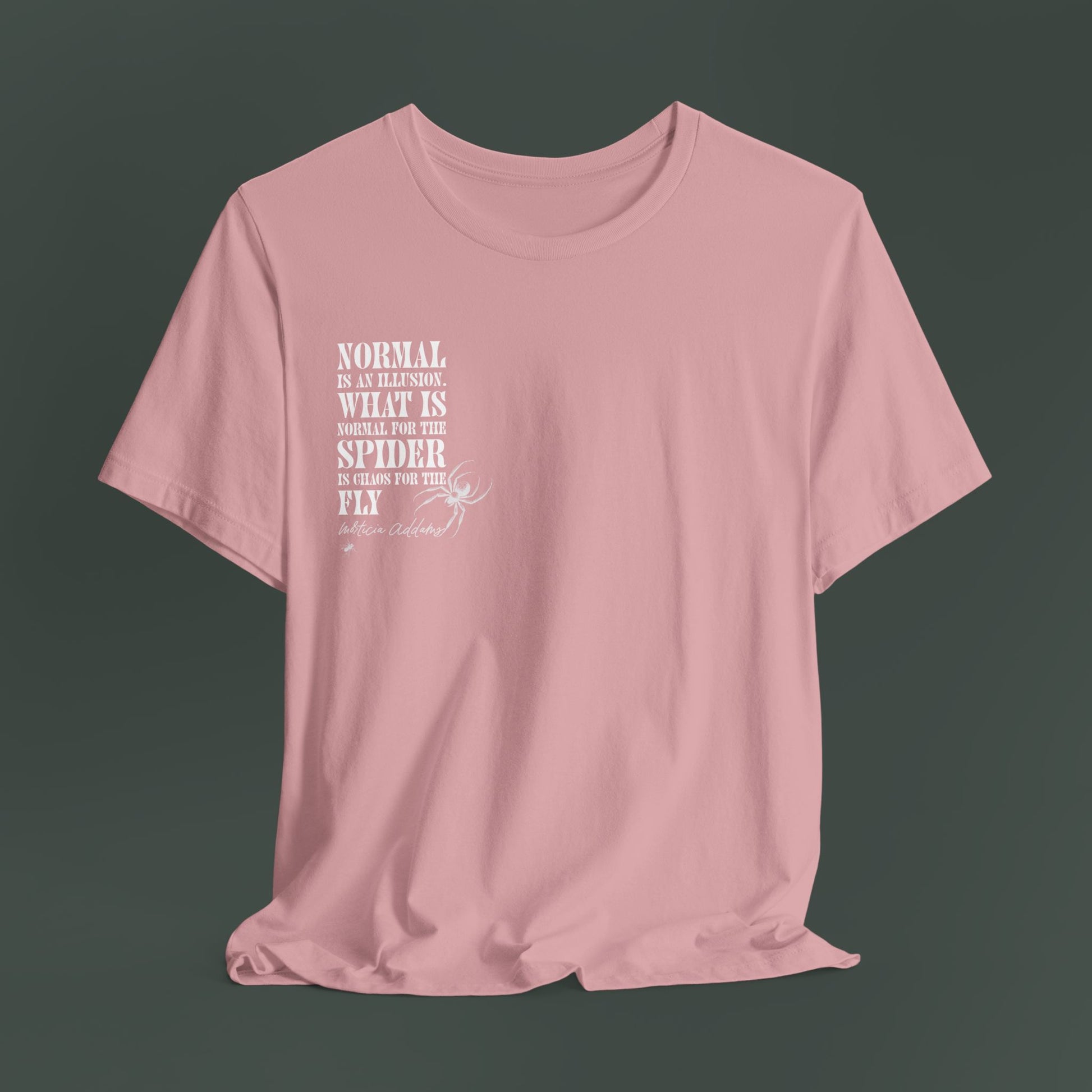 Spider Graphic Tee, Unique Unisex Shirt, Quirky Gift for Nature Lovers, Birthday and Halloween Apparel, Cool Casual Wear