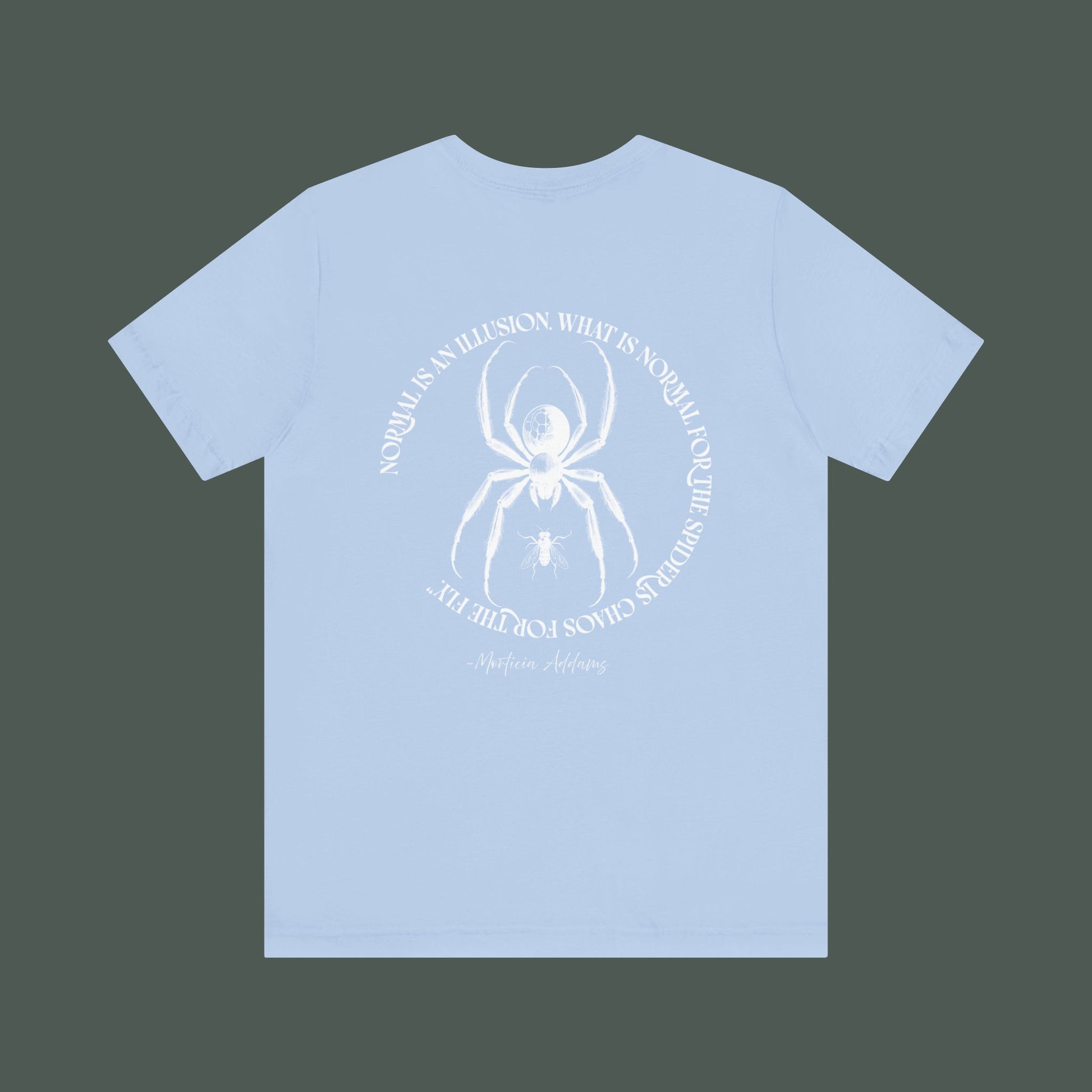 Spider Graphic Tee, Unique Unisex Shirt, Quirky Gift for Nature Lovers, Birthday and Halloween Apparel, Cool Casual Wear
