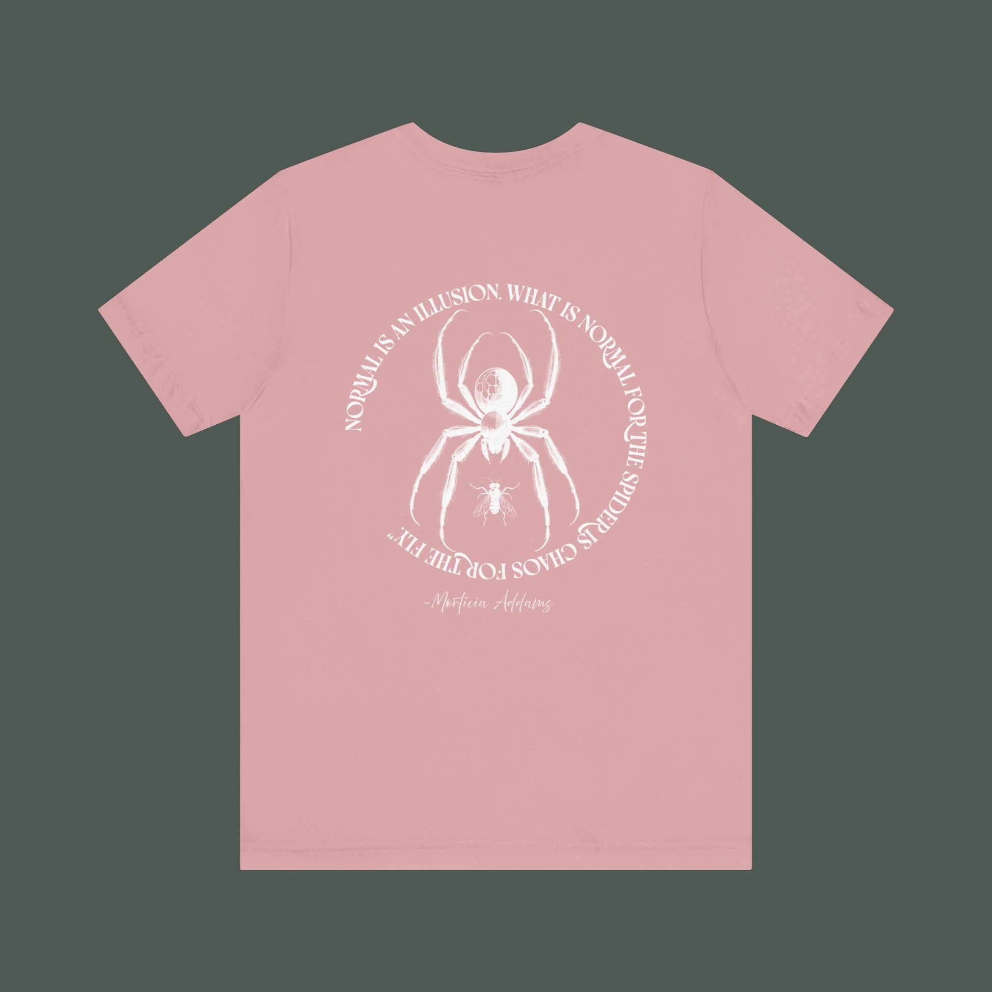 Spider Graphic Tee, Unique Unisex Shirt, Quirky Gift for Nature Lovers, Birthday and Halloween Apparel, Cool Casual Wear